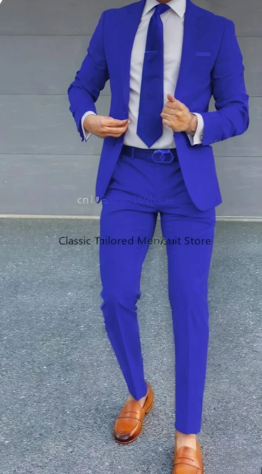 Men's Suit 2 Piece Suit