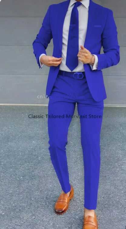 Men's Suit 2 Piece Suit
